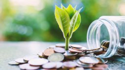 Calculating the ROI of Sustainability: A Financial Perspective on Green Choices