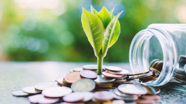 Calculating the ROI of Sustainability: A Financial Perspective on Green Choices