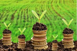 Financing the Sustainable Future: The Rise of Green Finance