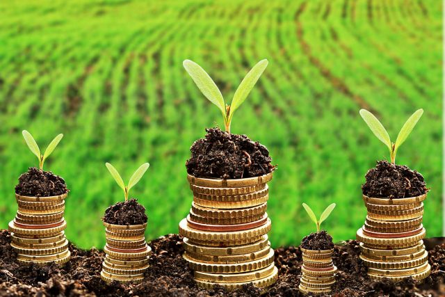 Financing the Sustainable Future: The Rise of Green Finance
