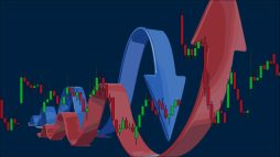 Mastering the Market: How to Track Unusual Options Activity